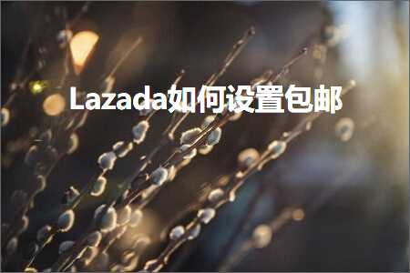 璺ㄥ鐢靛晢鐭ヨ瘑:Lazada濡備綍璁剧疆鍖呴偖